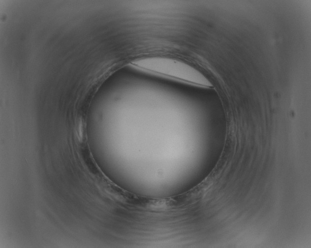 X0000074300076200608251003