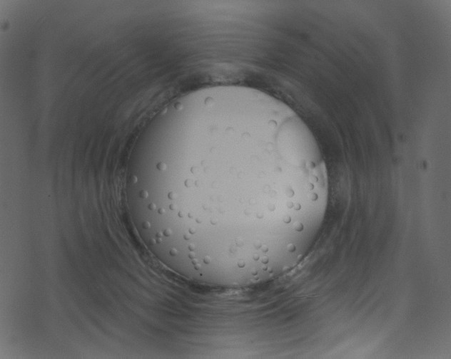 X0000074300078200608251003