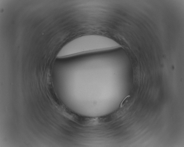X0000074300083200608251003