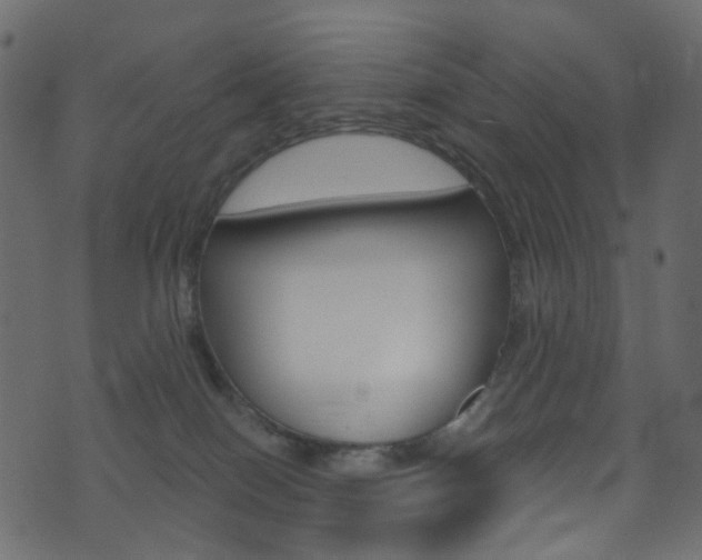 X0000074300086200608251003