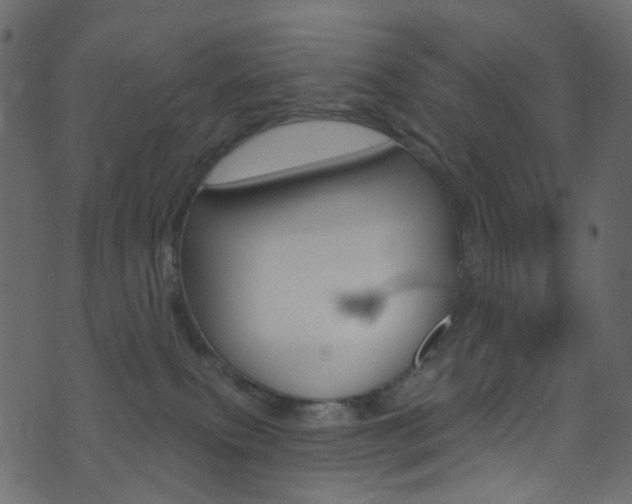 X0000074300087200608251003