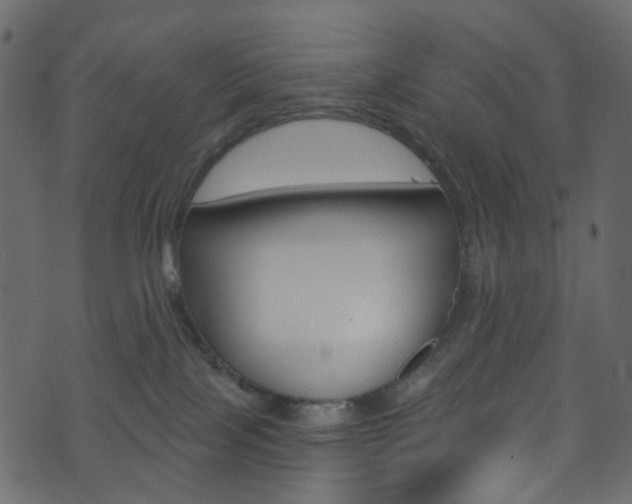 X0000074300089200608251003