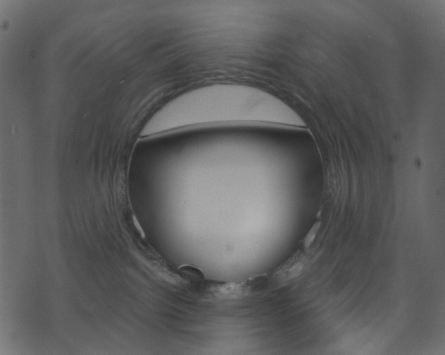 X0000074300092200608251003