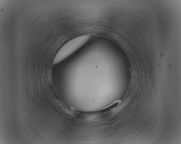 X0000074300096200608251003