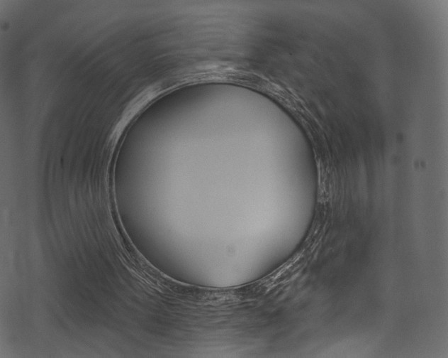 X0000074300099200608251002