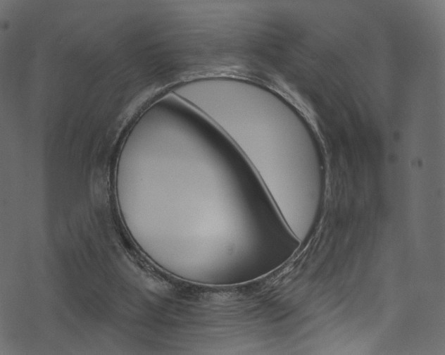 X0000074300107200608251002