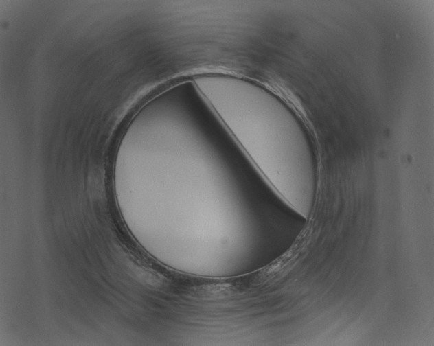 X0000074300108200608251002