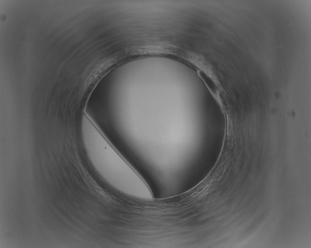 X0000074300109200608251002