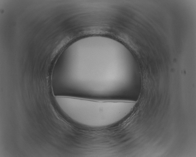 X0000074300111200608251002