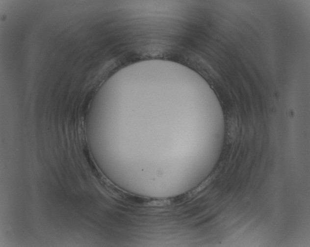 X0000074300126200608251002