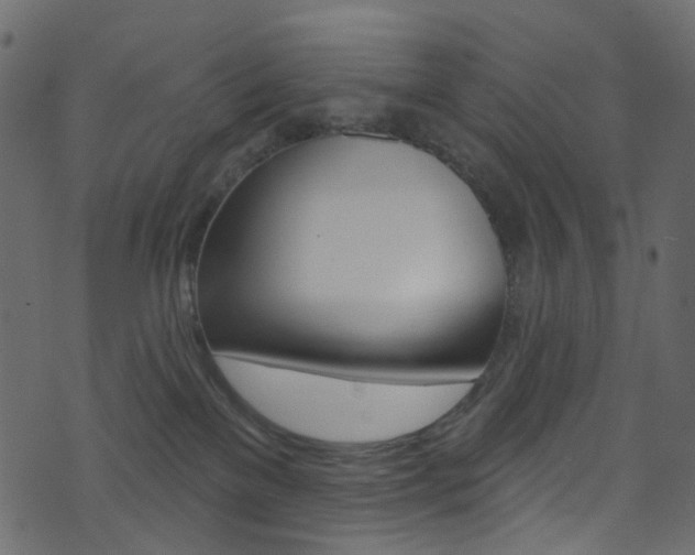 X0000074300137200608251002