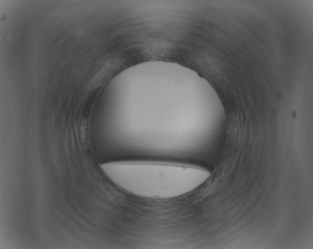 X0000074300139200608251002