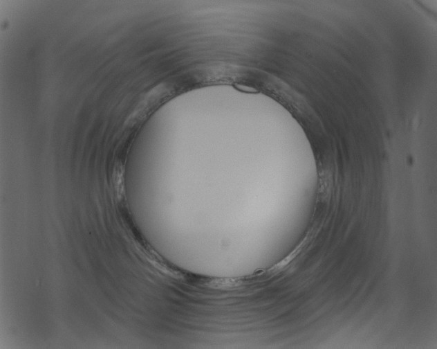 X0000074300142200608251001