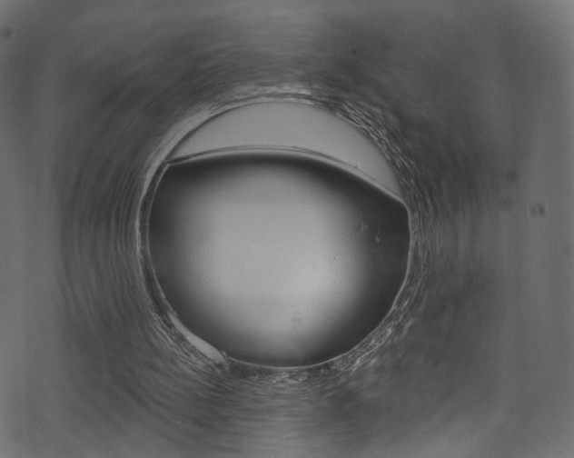 X0000074300148200608251001