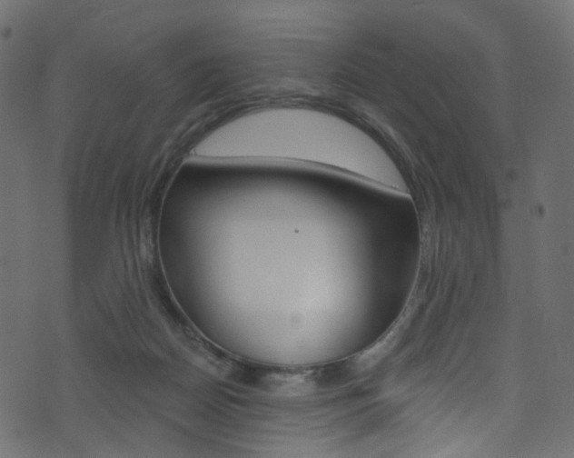 X0000074300170200608251001