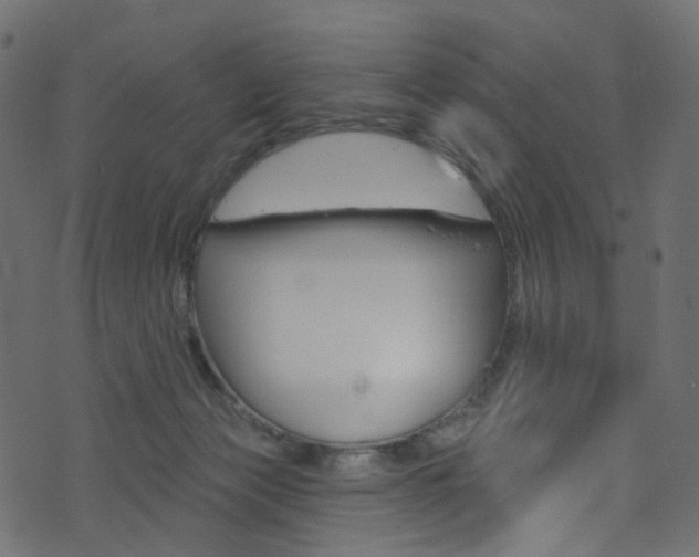X0000074300173200608251001