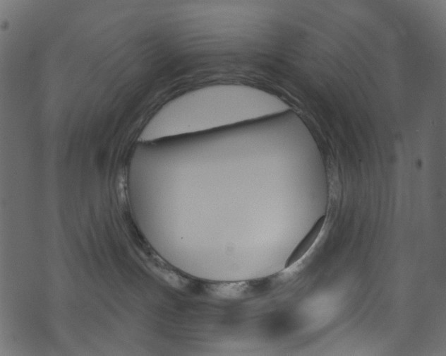 X0000074300191200608251001