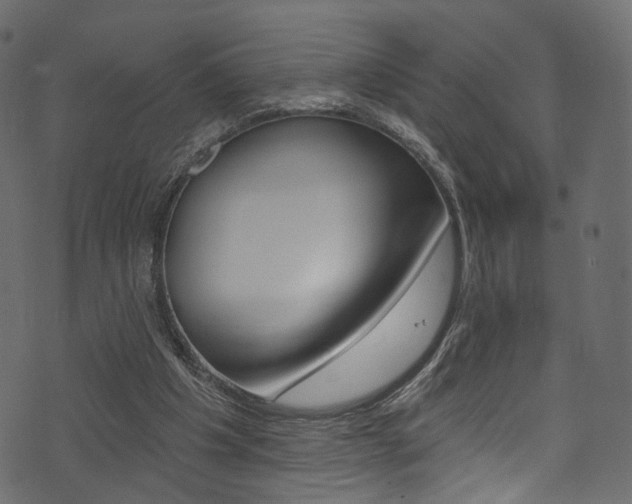 X0000074300201200608251001