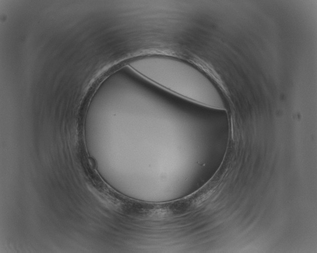 X0000074300204200608251000