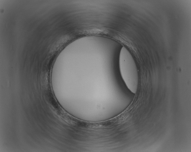 X0000074300206200608251000