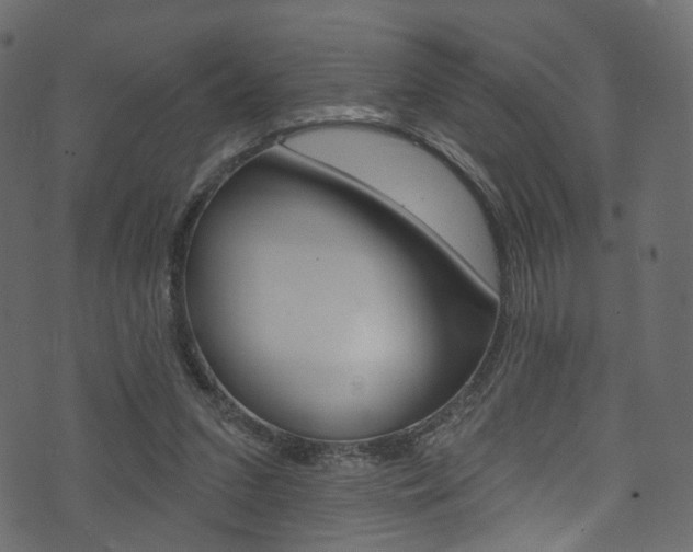 X0000074300207200608251000