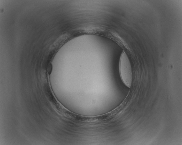 X0000074300213200608251000