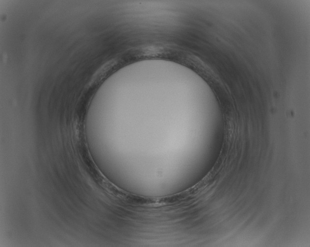X0000074300216200608251000