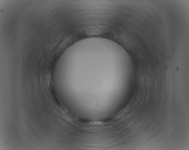 X0000074300227200608251000