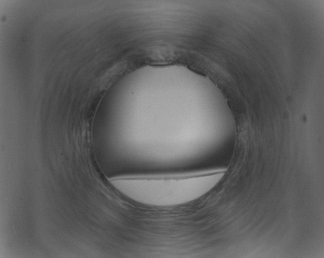 X0000074300233200608251000