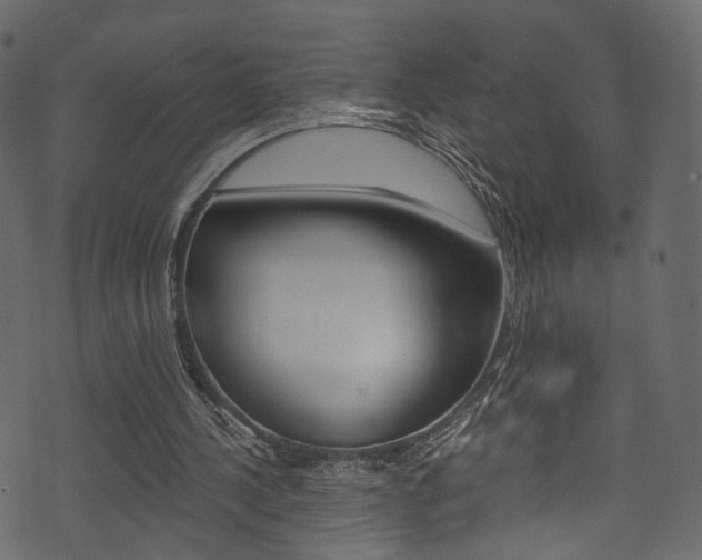 X0000074300244200608250959