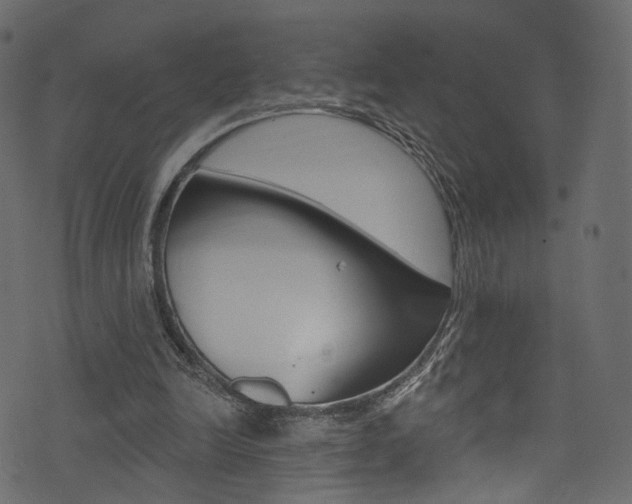 X0000074300246200608250959