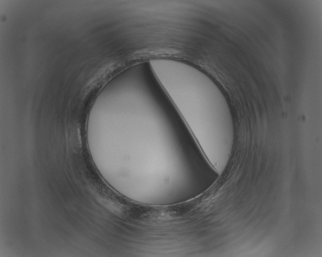 X0000074300254200608250959
