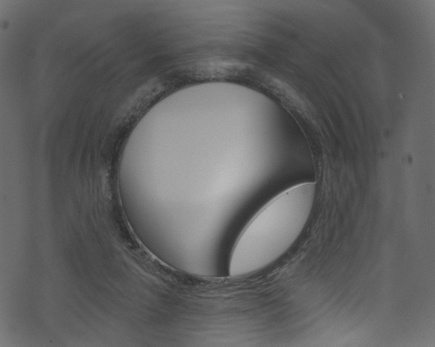 X0000074300258200608250959