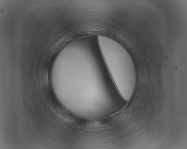 X0000074300262200608250959