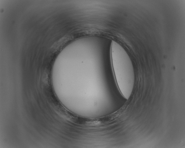 X0000074300266200608251000