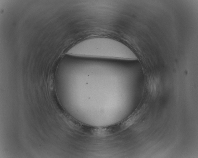 X0000074300273200608251000