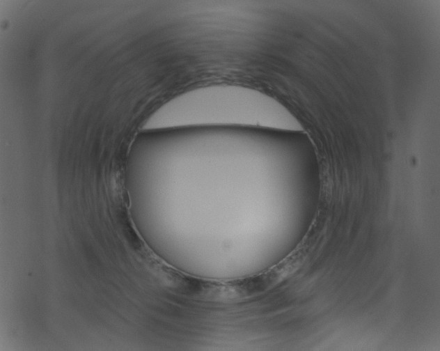 X0000074300276200608251000