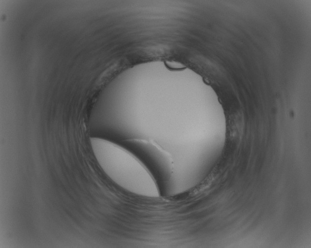 X0000074300279200608251000