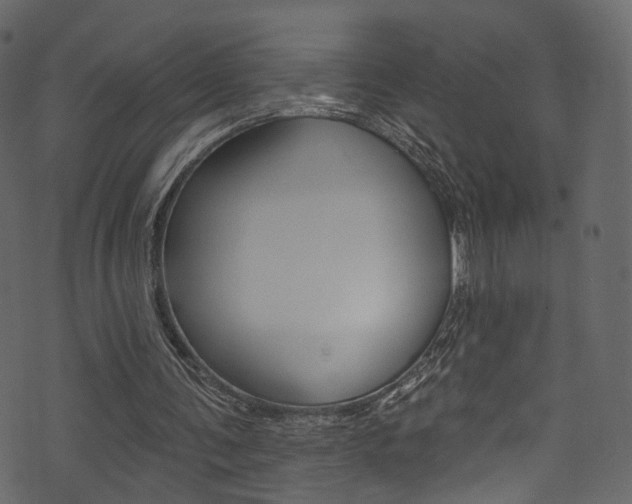 X0000074300291200608250959