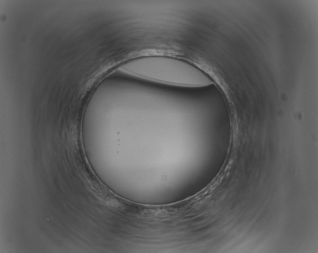 X0000074300297200608250959