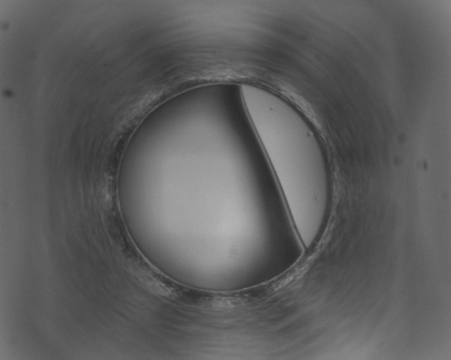 X0000074300305200608250959