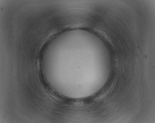X0000074300308200608250959