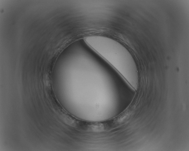 X0000074300317200608250959