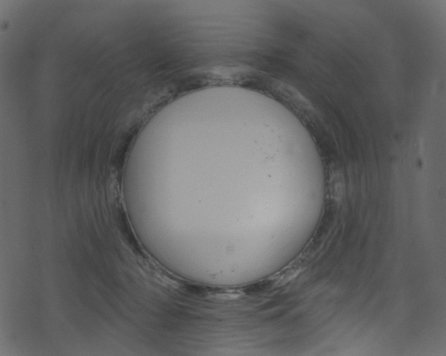 X0000074300318200608250959