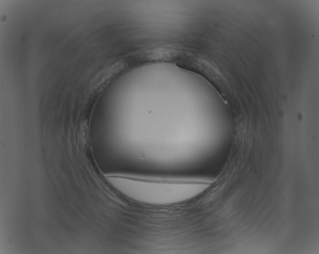 X0000074300325200608250959