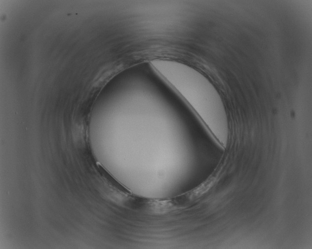 X0000074300333200608250958