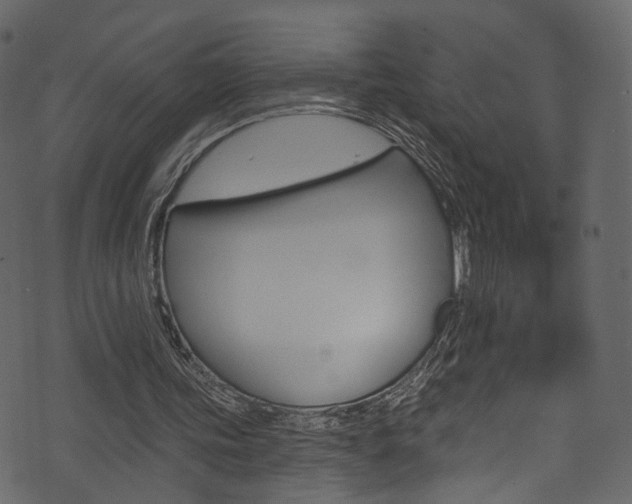 X0000074300339200608250958