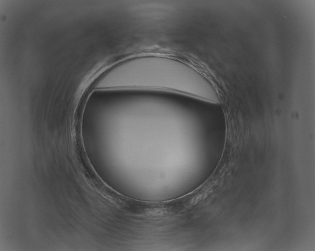 X0000074300344200608250958