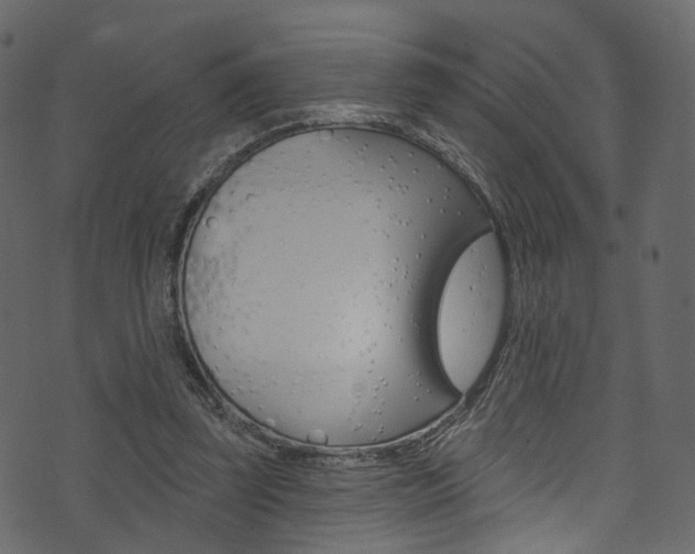 X0000074300347200608250958