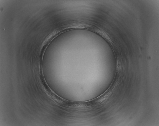 X0000074300349200608250958
